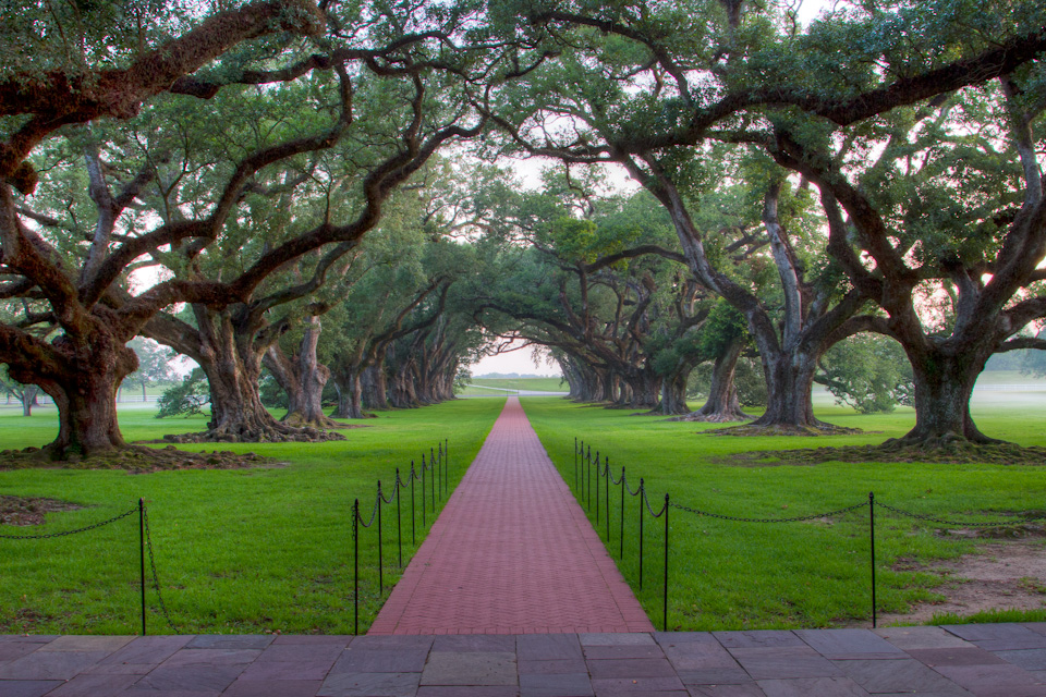 View to the Mississippi in Vacherie, Louisiana