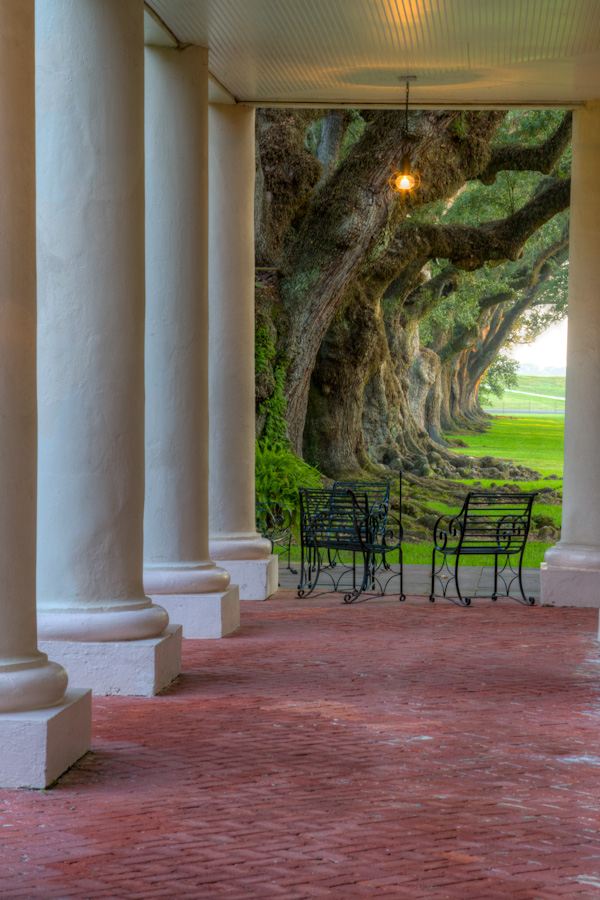 Columns to Trees in Vacherie, Louisiana