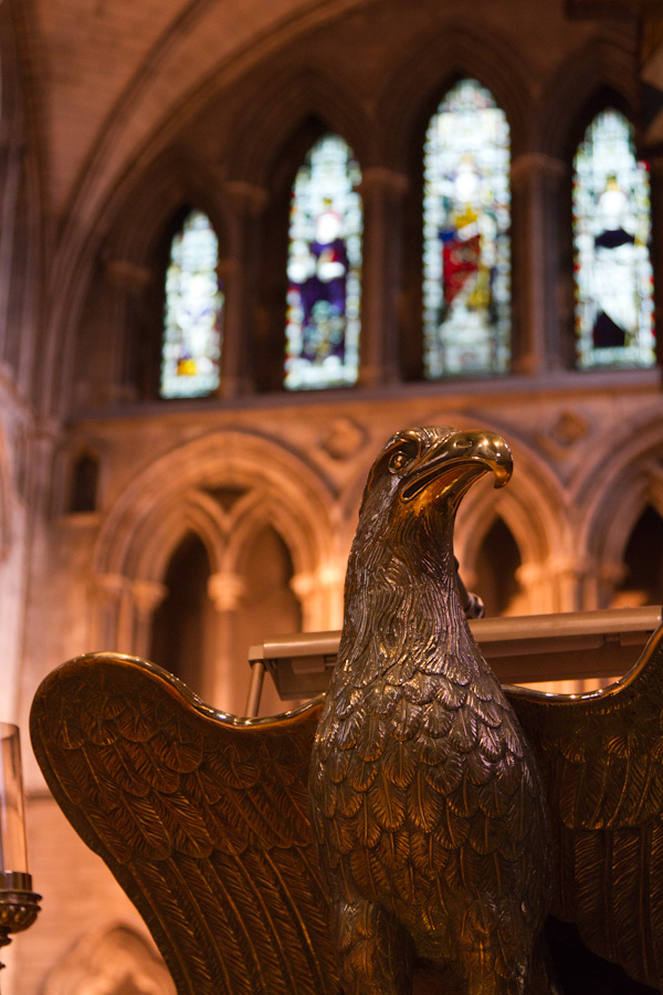 Patrick's Eagle in Dublin, Ireland
