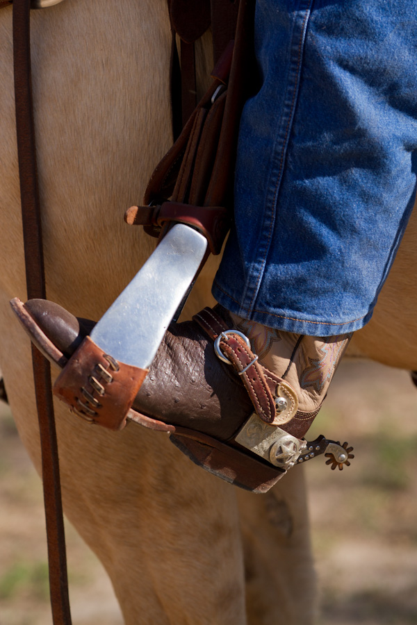 Forward in the Saddle in Austin, Texas