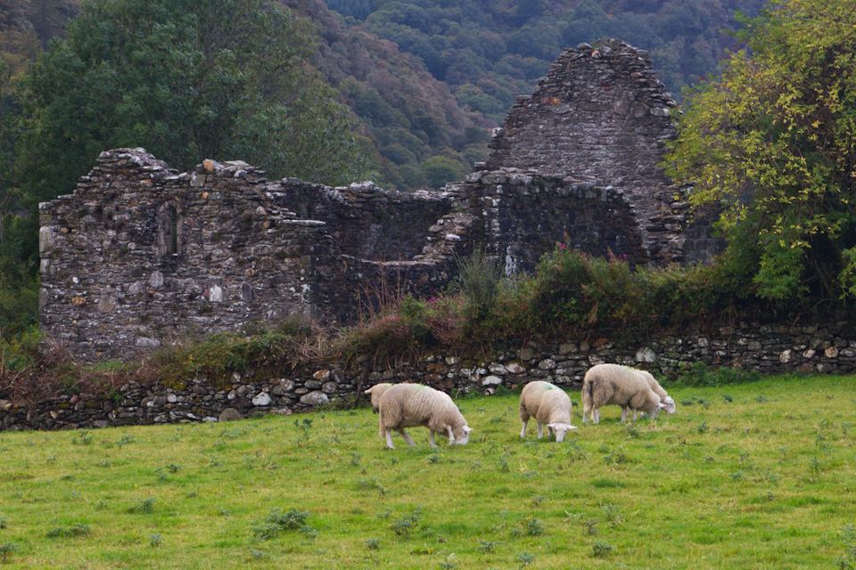 Ireland  in Dublin, Ireland