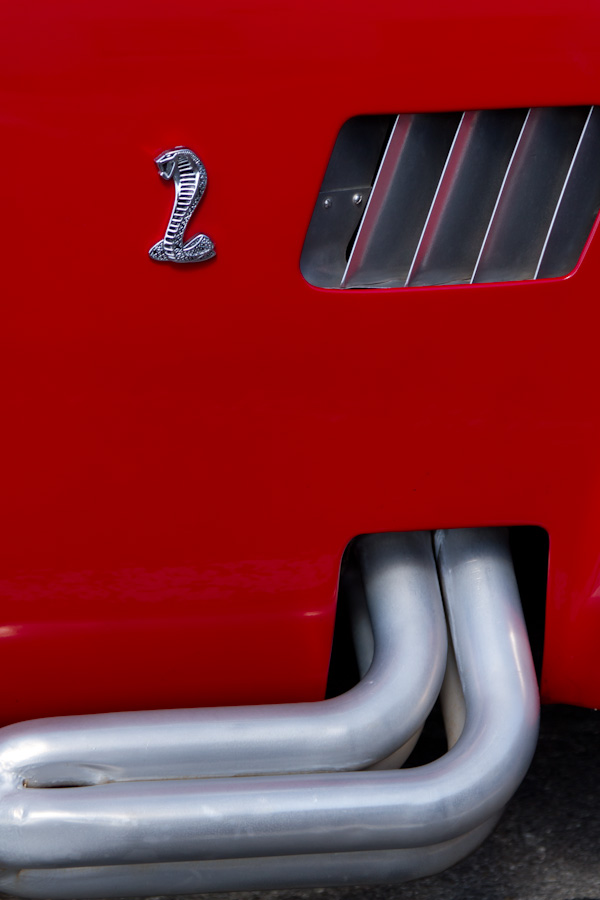 Cobra in Austin, Texas