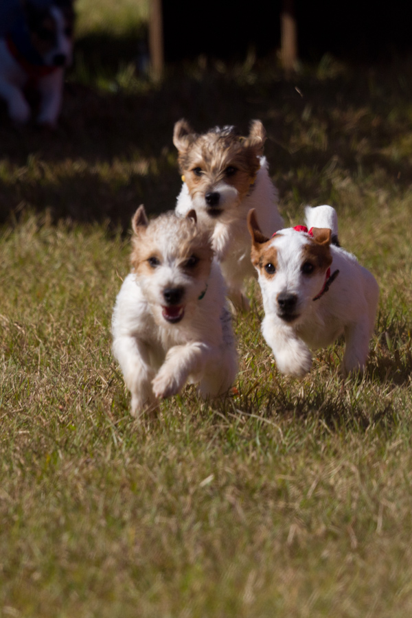 Young Race in Pine Mountain, Georgia