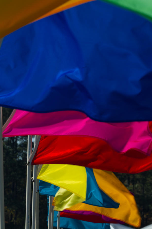 Flags in Pine Mountain, Georgia