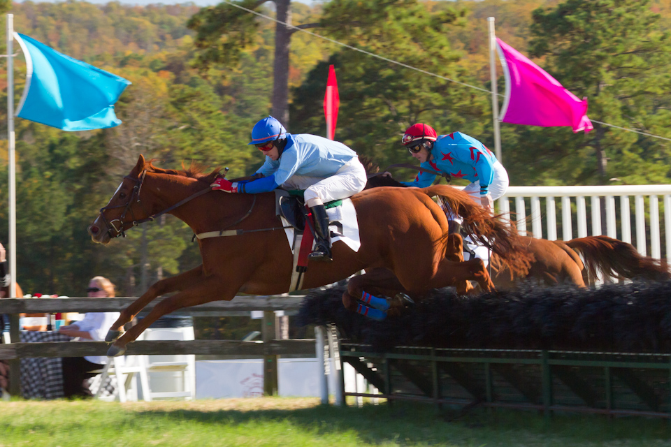 Steeplechase in Pine Mountain, Georgia