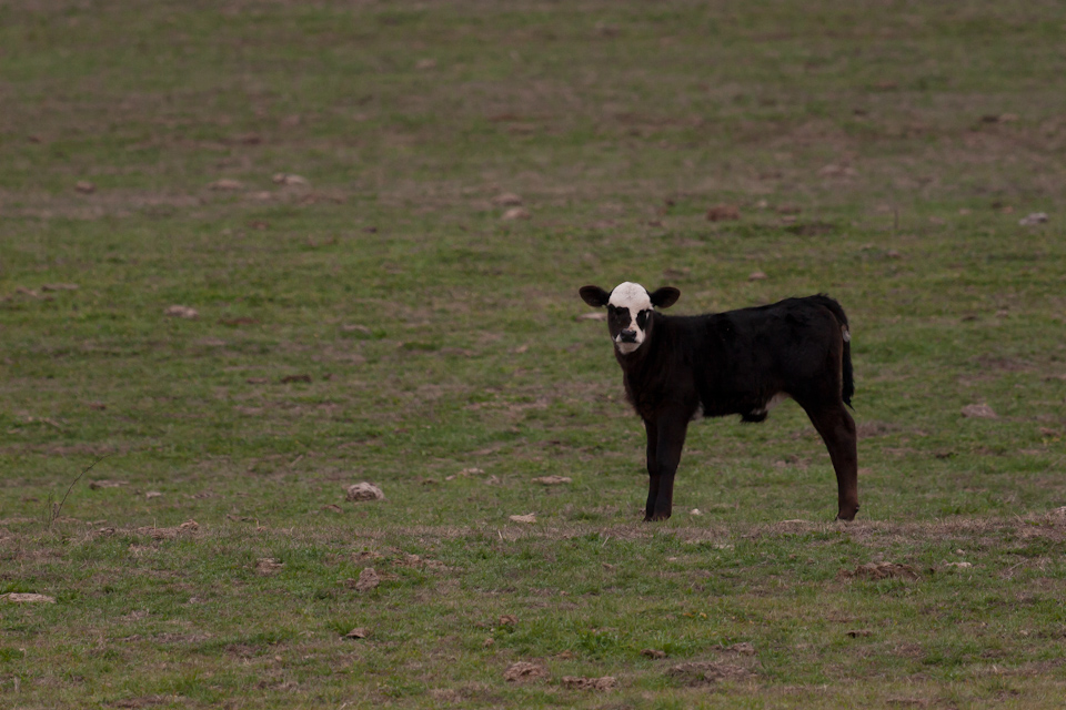 Lonely in Austin, Texas