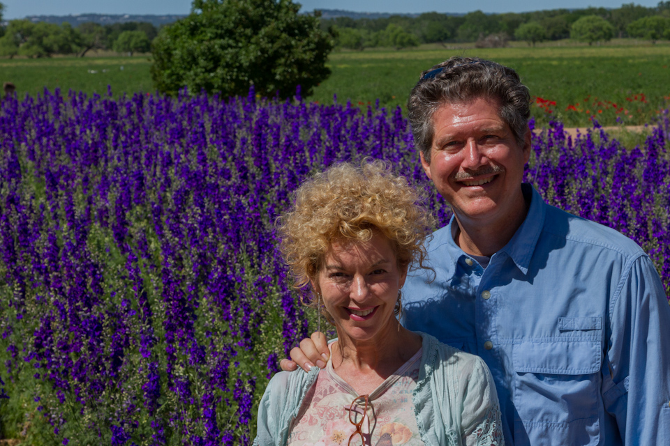 Purple Field in Fredericksburg, Texas