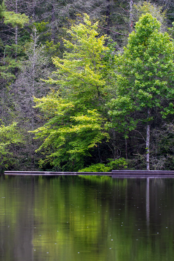 Before Fsall in Highlands, North Carolina