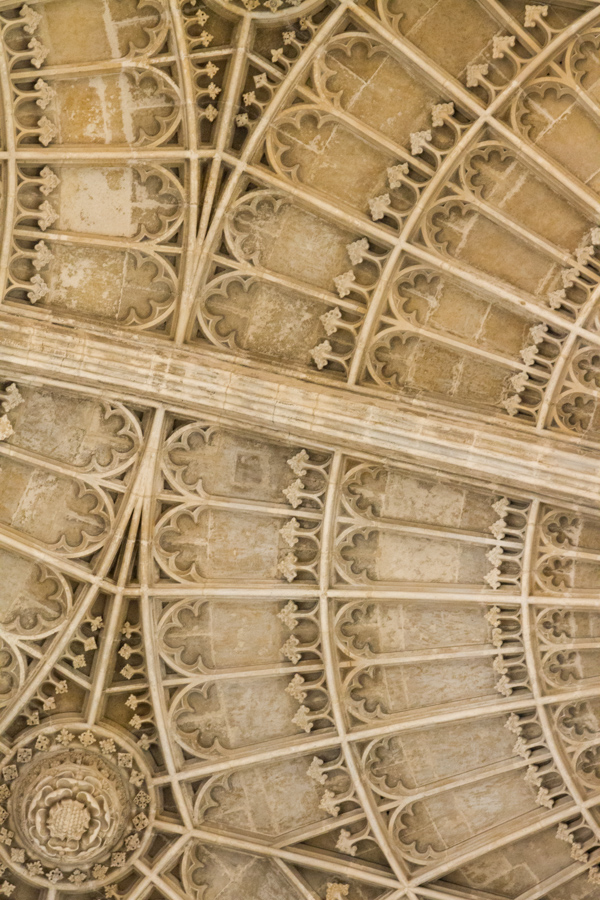 Fancy Ceiling in Cambridge, England