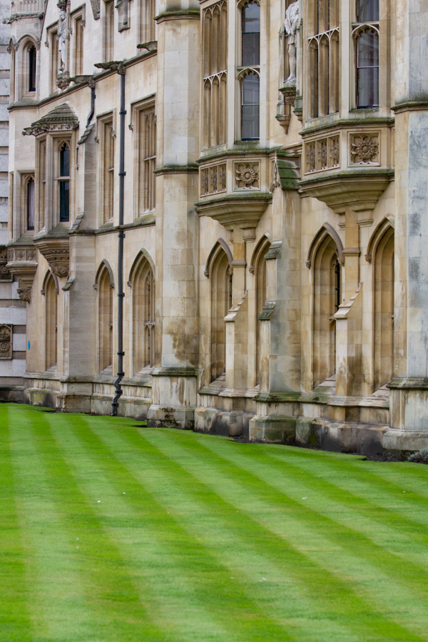 Nice Grass in Cambridge, England