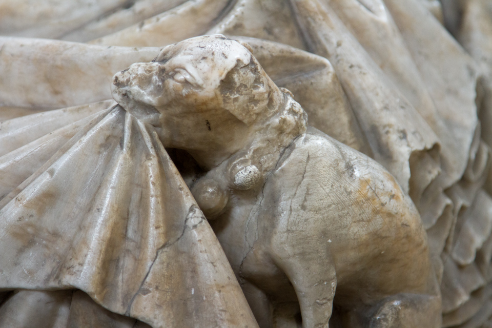 Stone Pup in West Sussex, England