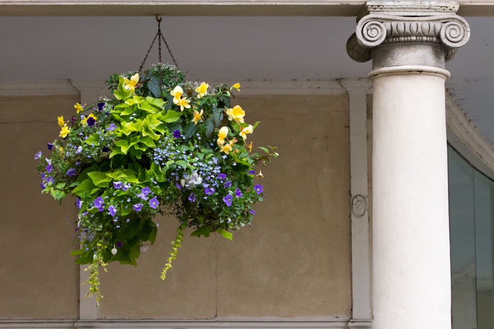 English Italian in Bath, England