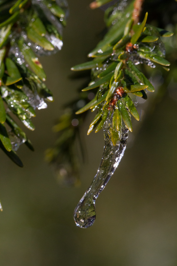 A Cold Morning in Highlands, North Carolina