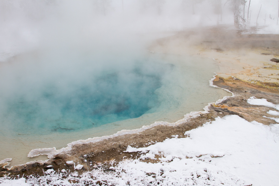 Celestine Spring  in Yellowstone National Park, Wyoming