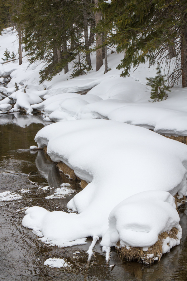 Deep Snow in Yellowstone National Park, Wyoming