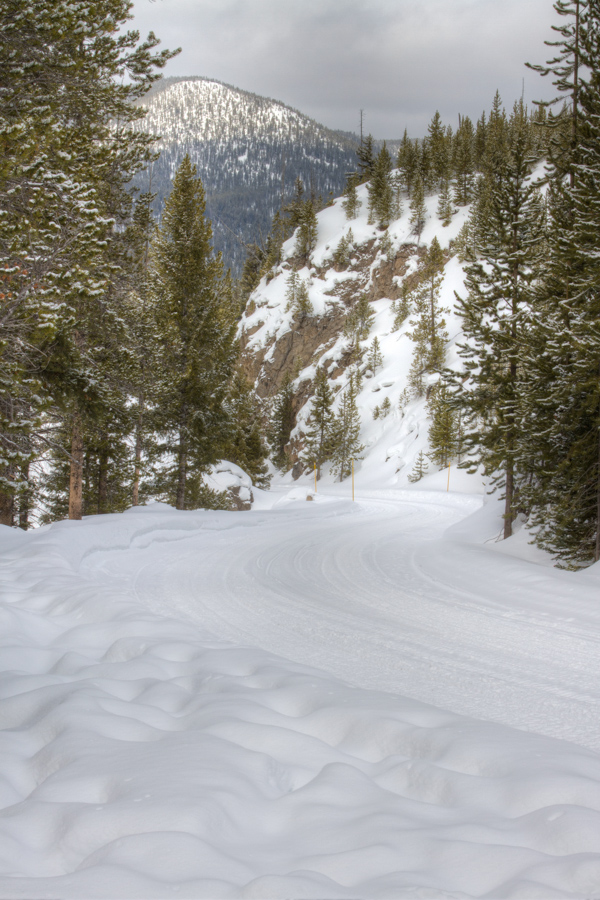 Canyon Road in Yellowstone National Park, Wyoming