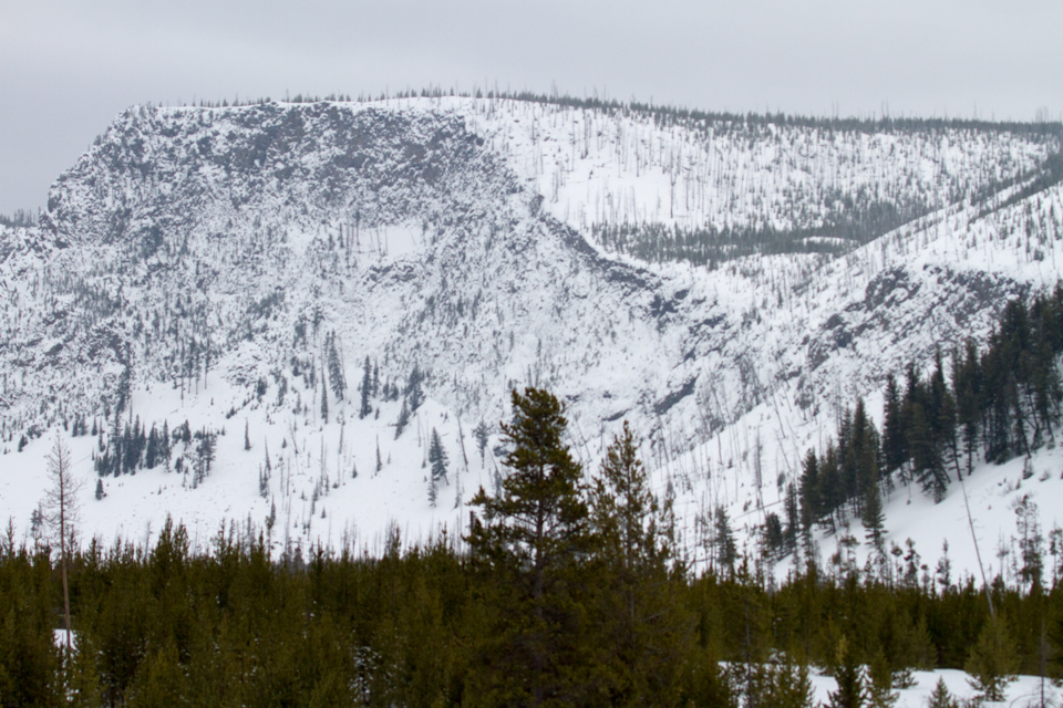 Madison Valley in Yellowstone National Park, Wyoming