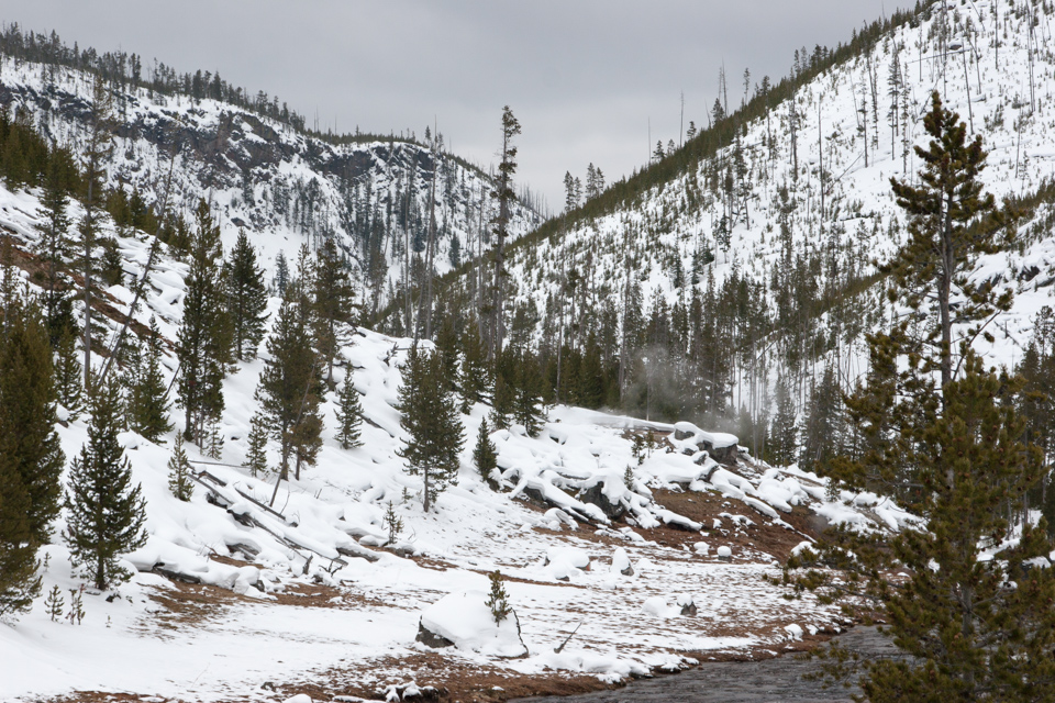 Gibbon River Valley in Yellowstone National Park, Wyoming