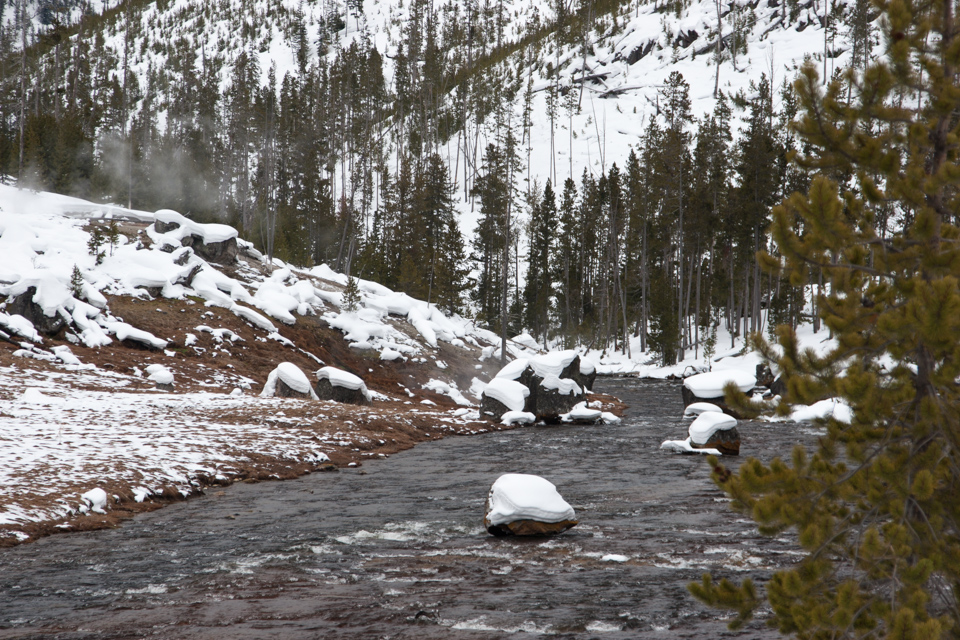 Gibbon River in Yellowstone National Park, Wyoming