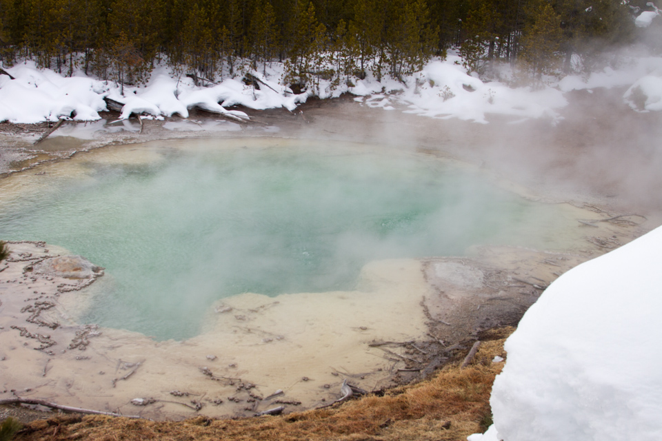 Emerald Spring in Yellowstone National Park, Wyoming