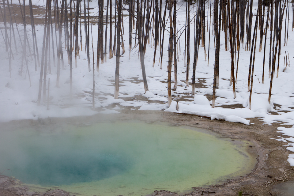 Cistern Spring  in Yellowstone National Park, Wyoming