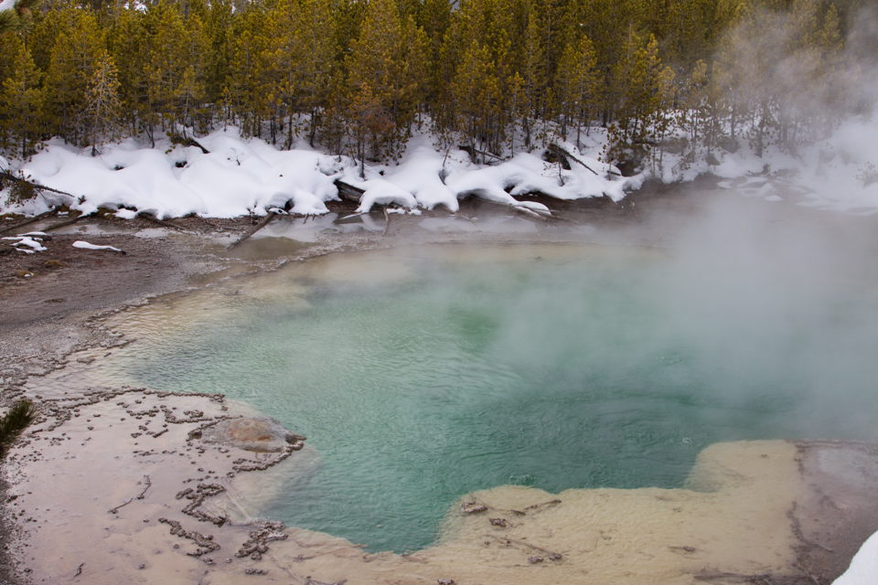 Echinus Geyser in Yellowstone National Park, Wyoming