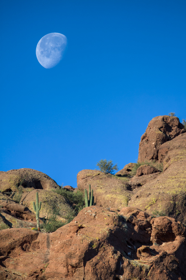 Mountain Moon in Phoenix, Arizona