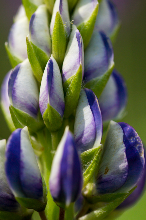 Bud in Highlands, North Carolina