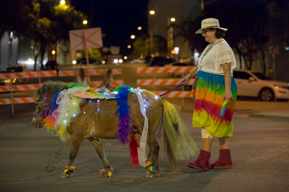Equestrian Entry in Austin, Texas