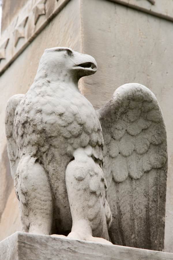 Worn Eagle in West Point, New York