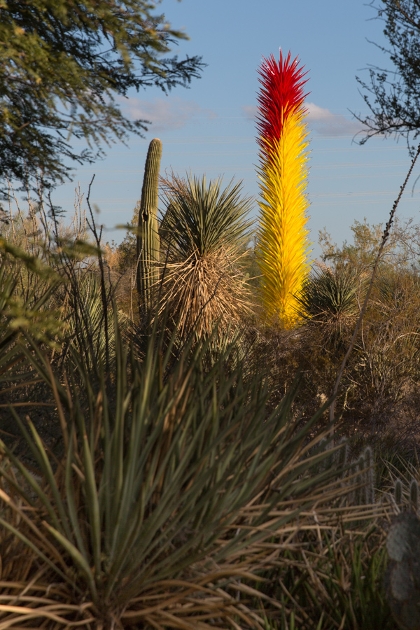 Desert Glass in Phoenix, Arizona