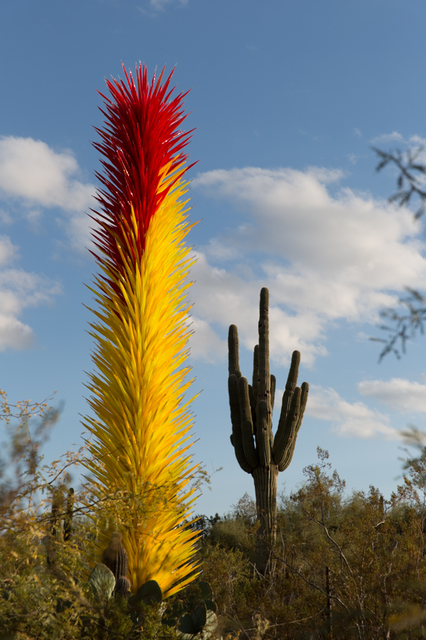 Pretty Tall Glass in Phoenix, Arizona