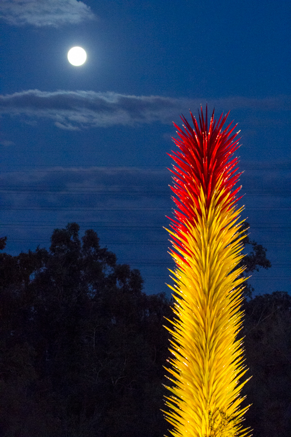 Glass in Moonlight in Phoenix, Arizona