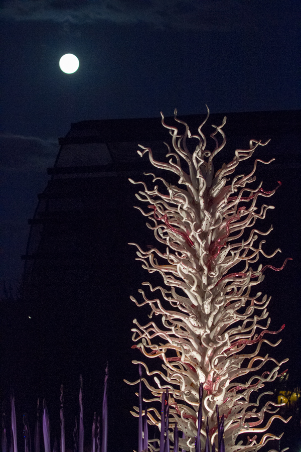 White Light in Phoenix, Arizona