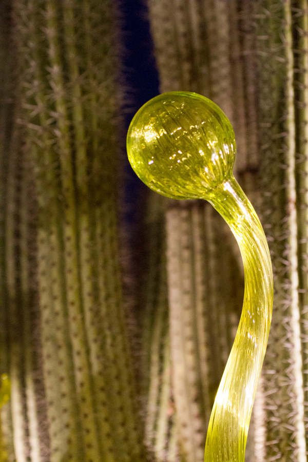 Cactus Glass in Phoenix, Arizona