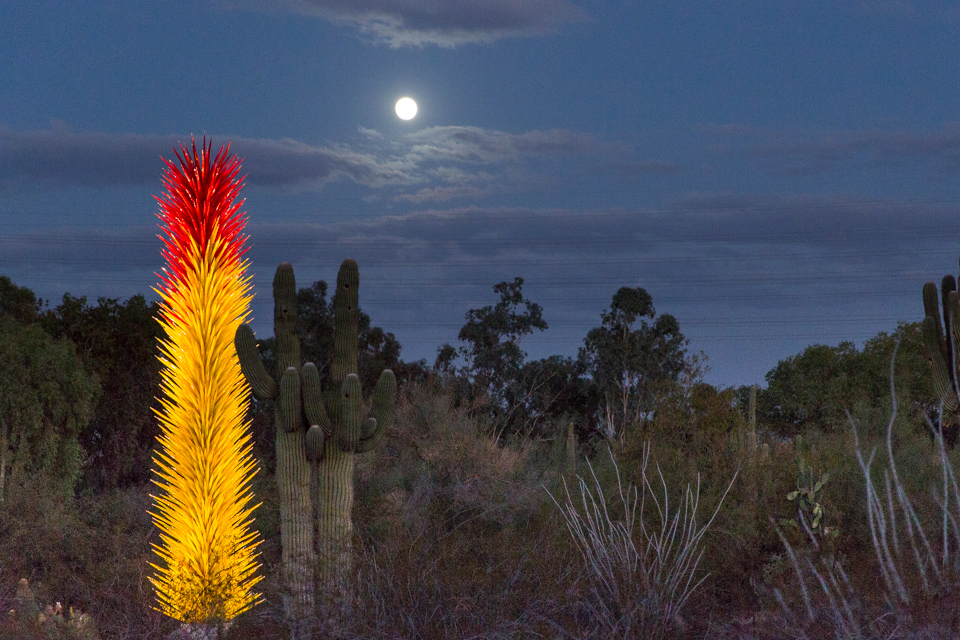 Moonlit Desert in Phoenix, Arizona