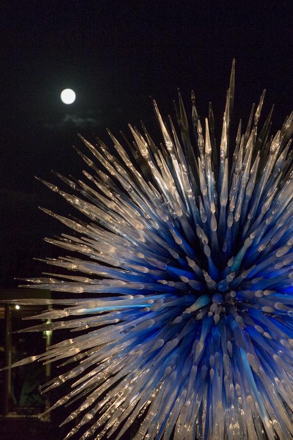 Sapphire Star in Phoenix, Arizona