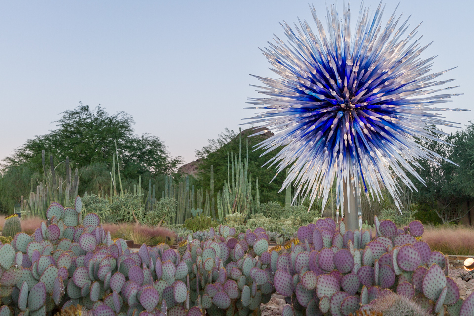 Desert Star in Phoenix, Arizona