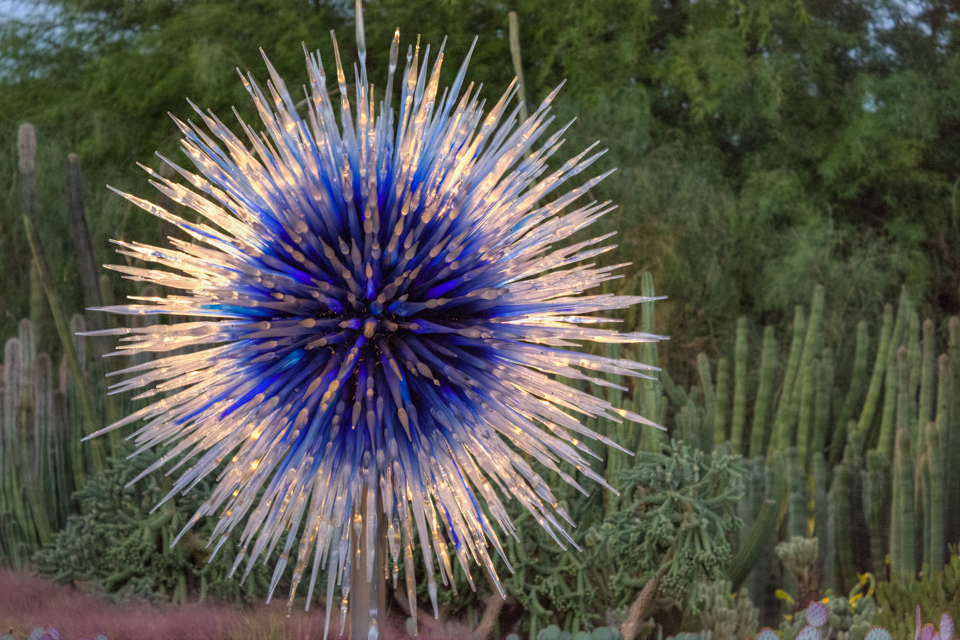 Sapphire Star in Phoenix, Arizona