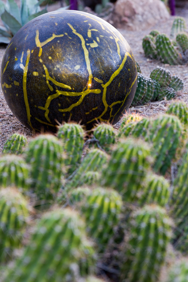 Black Niijima Floats in Phoenix, Arizona