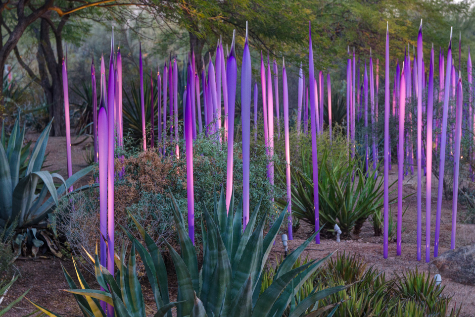 Neodymium Reeds in Phoenix, Arizona