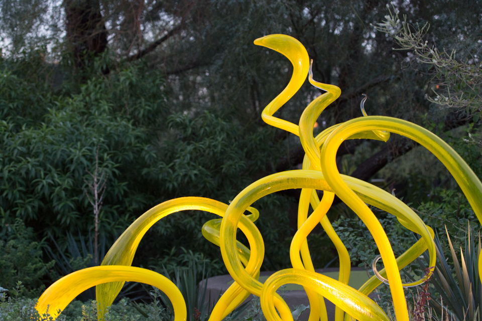 Yellow Detail in Phoenix, Arizona