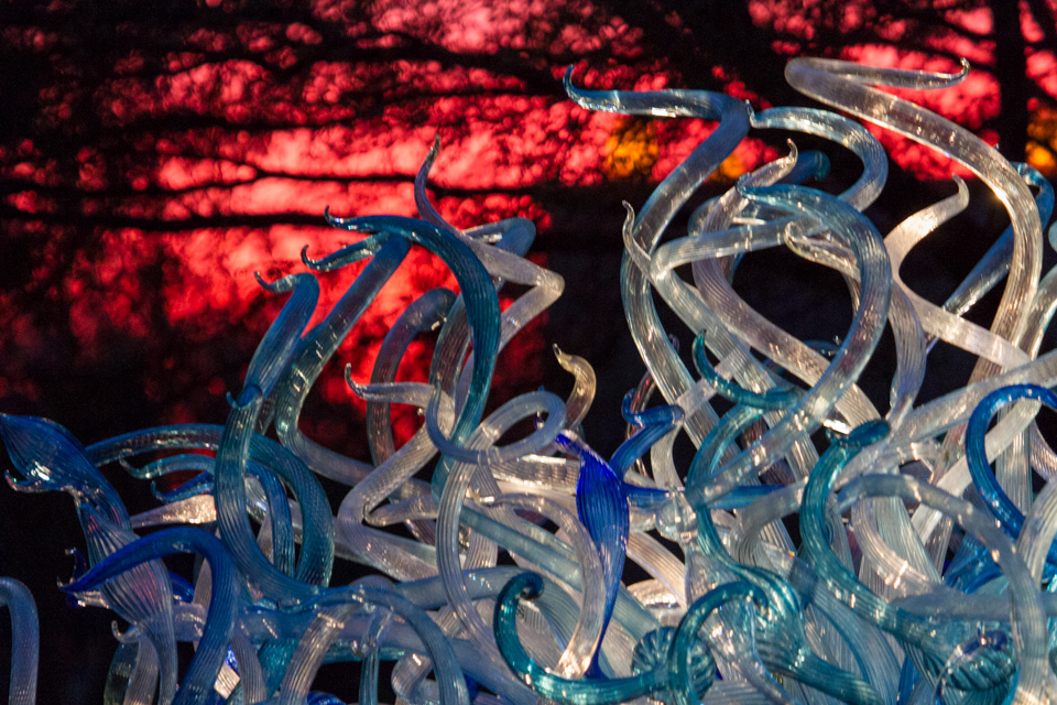 Sunset Glass in Phoenix, Arizona