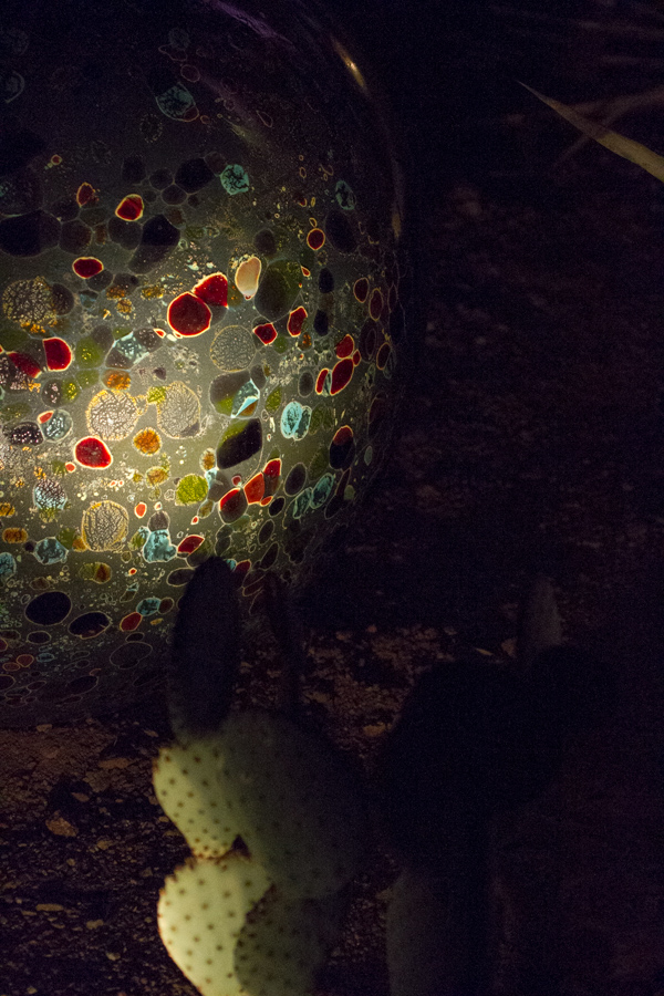 Dark Glass in Phoenix, Arizona