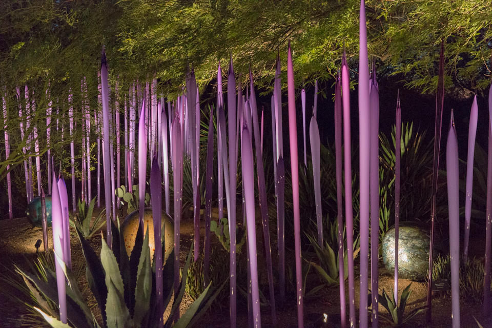 Neodymium Reeds in Phoenix, Arizona