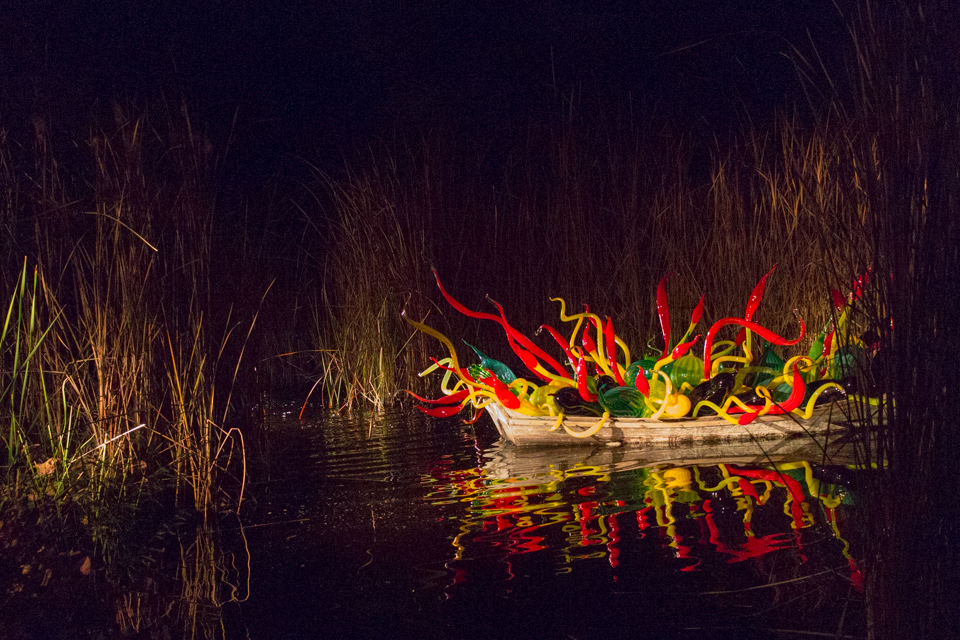 In the Reeds in Phoenix, Arizona