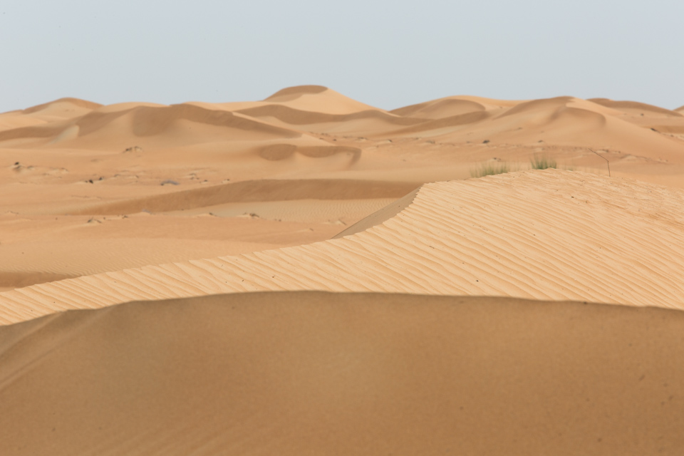 Desert Sand in Dubai, UAE