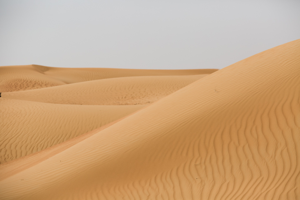 Wind Blown in Dubai, UAE