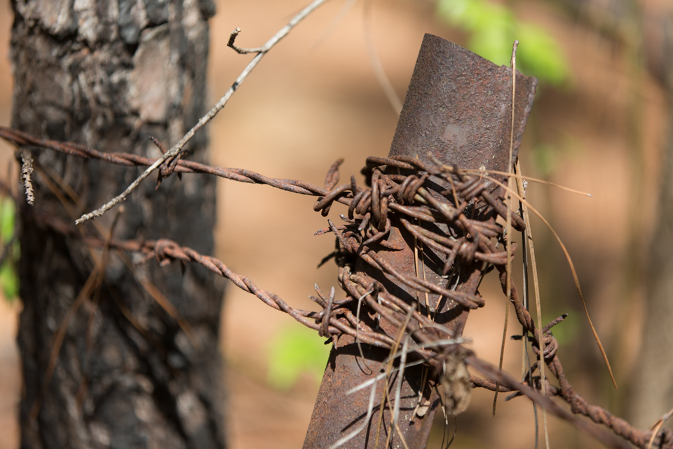 Barbed Wire in Columbus, Georgia