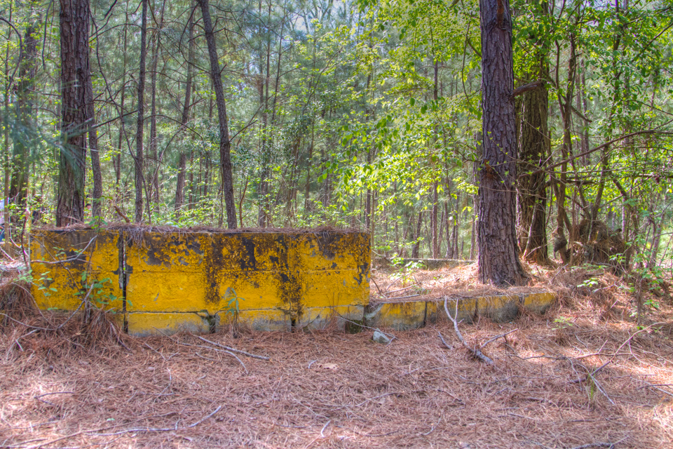 The Pit in Columbus, Georgia